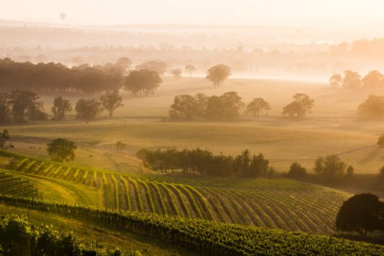 Trade and Investment Update – August 2021